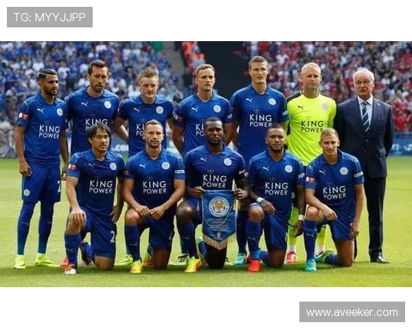 诺维奇俱乐部历程与成就回顾：从英超崛起到球迷心中的传奇