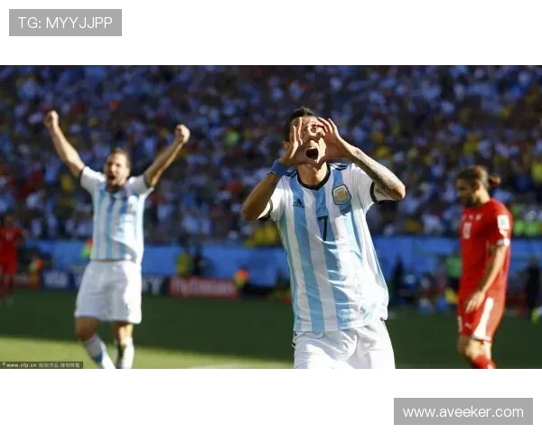 2025赛季法甲球员名单完整版及其转会动向解析