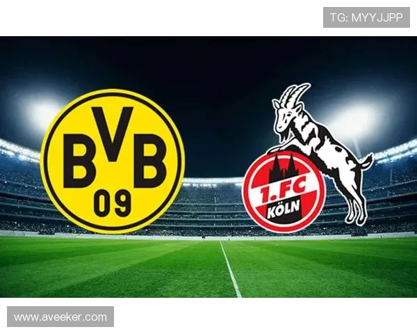 多特蒙德当前在德甲排名第几以及本赛季表现分析 多特蒙德当前在德甲排名第几以及本赛季表现分析