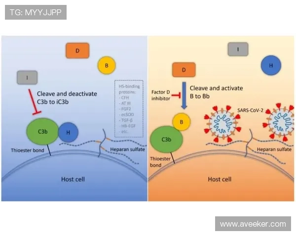 梅斯俱乐部官宣重磅动态球队阵容调整引发球迷热议